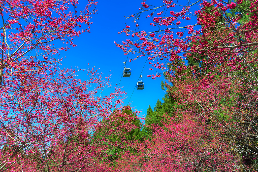 九族文化村图示