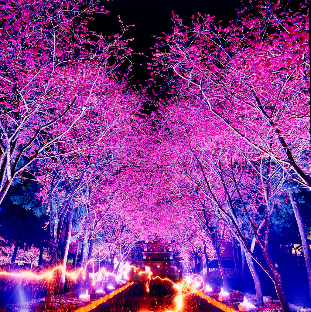 九族文化村图示