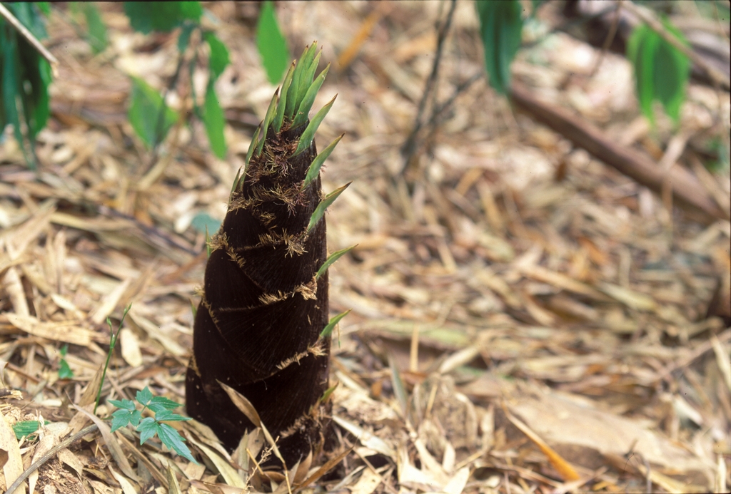 瑞里风景区图示