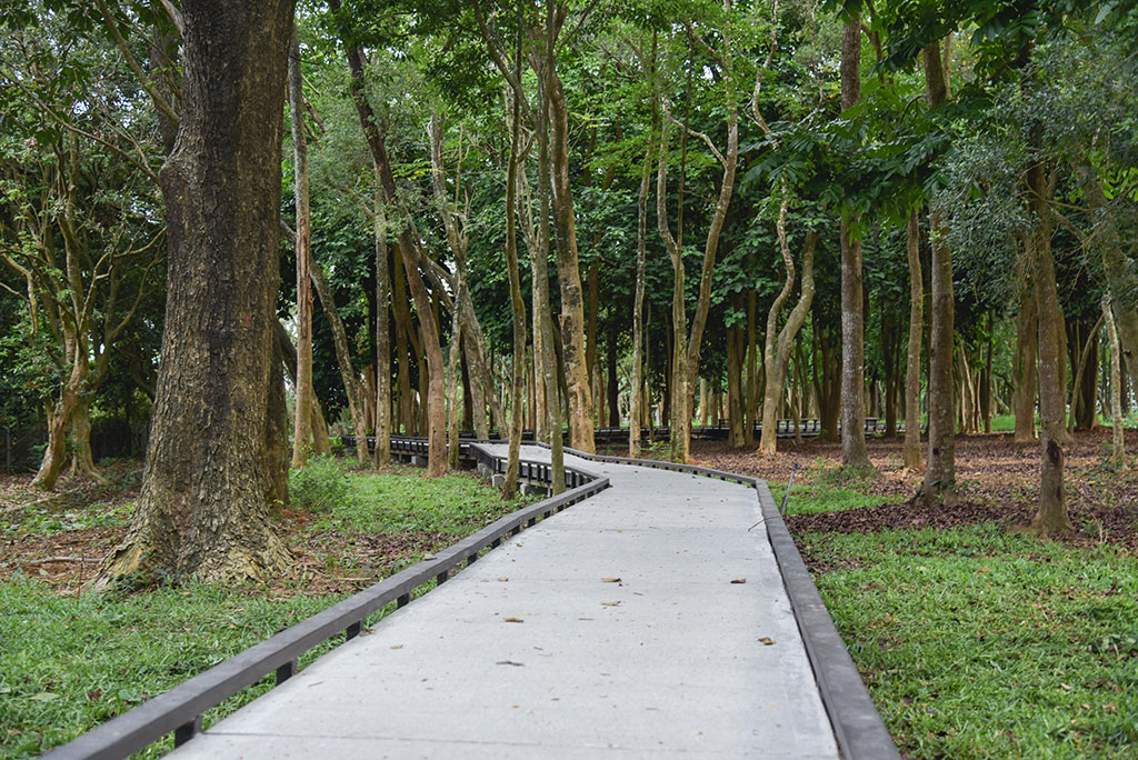茂林风景区图示