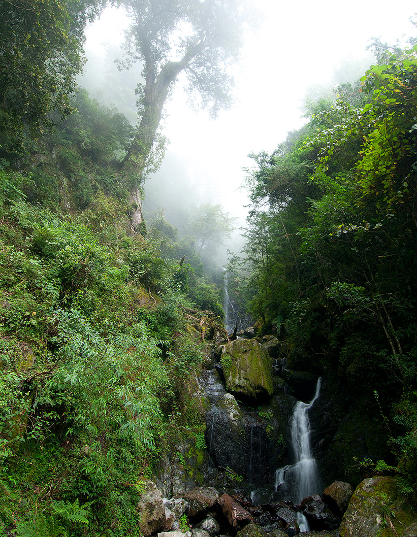 大雪山森林游乐区图示