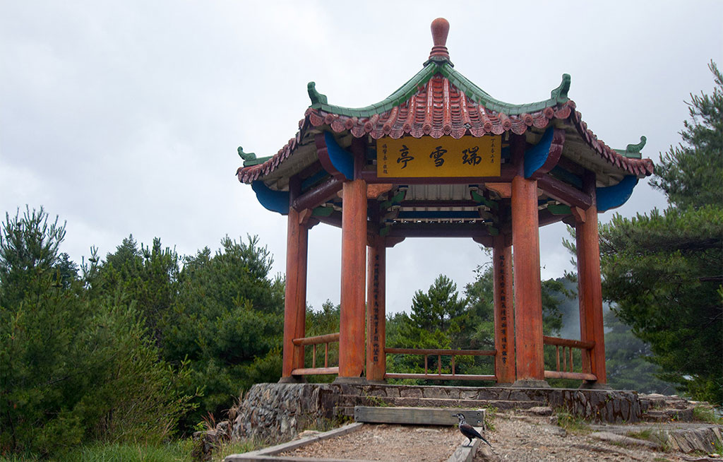 大雪山森林游乐区图示