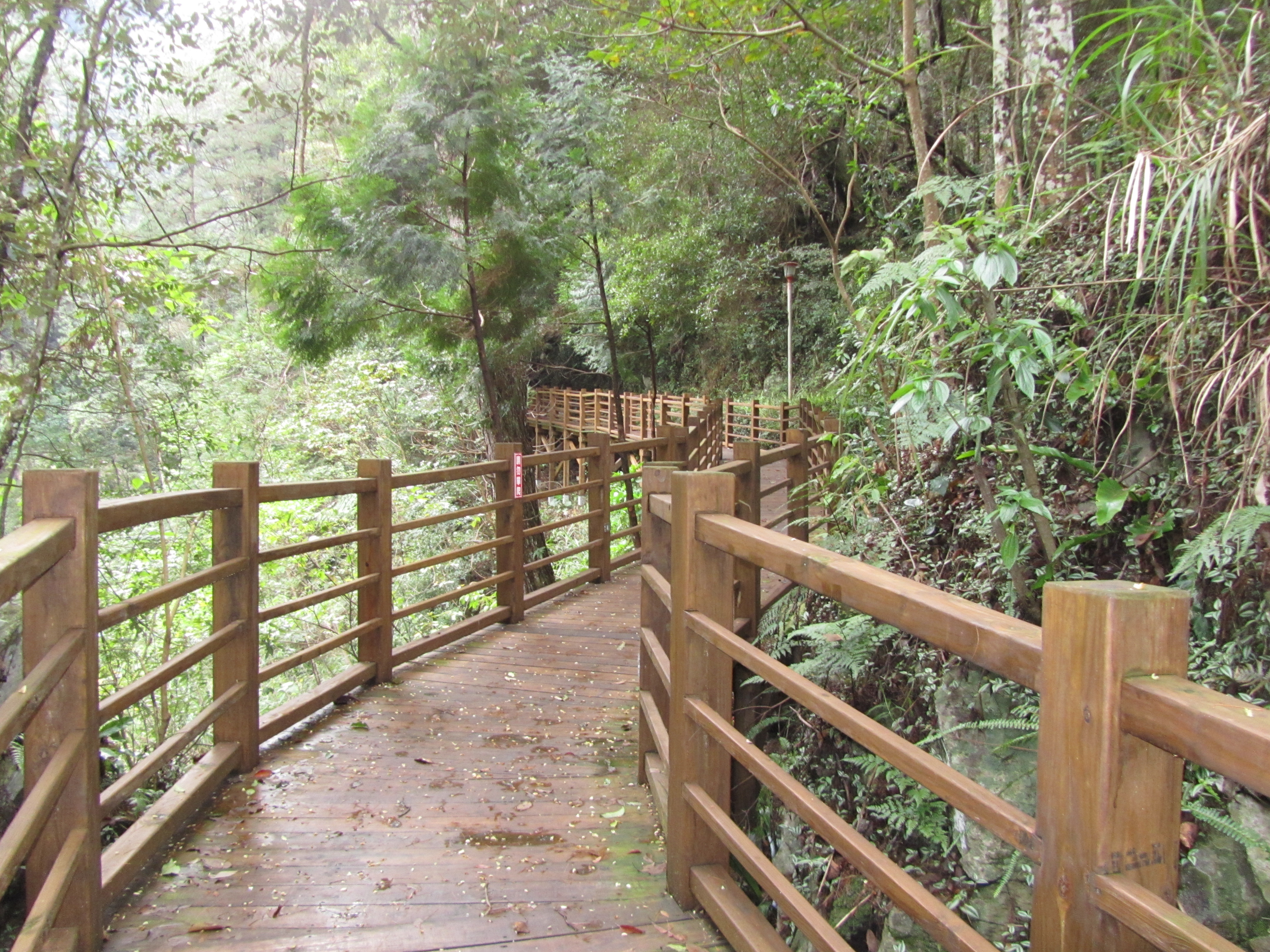 八仙山森林游乐区图示