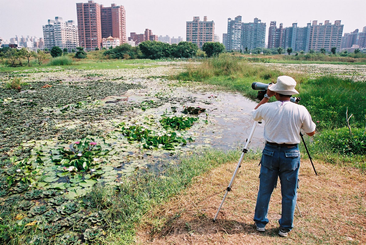 洲仔湿地公园图示