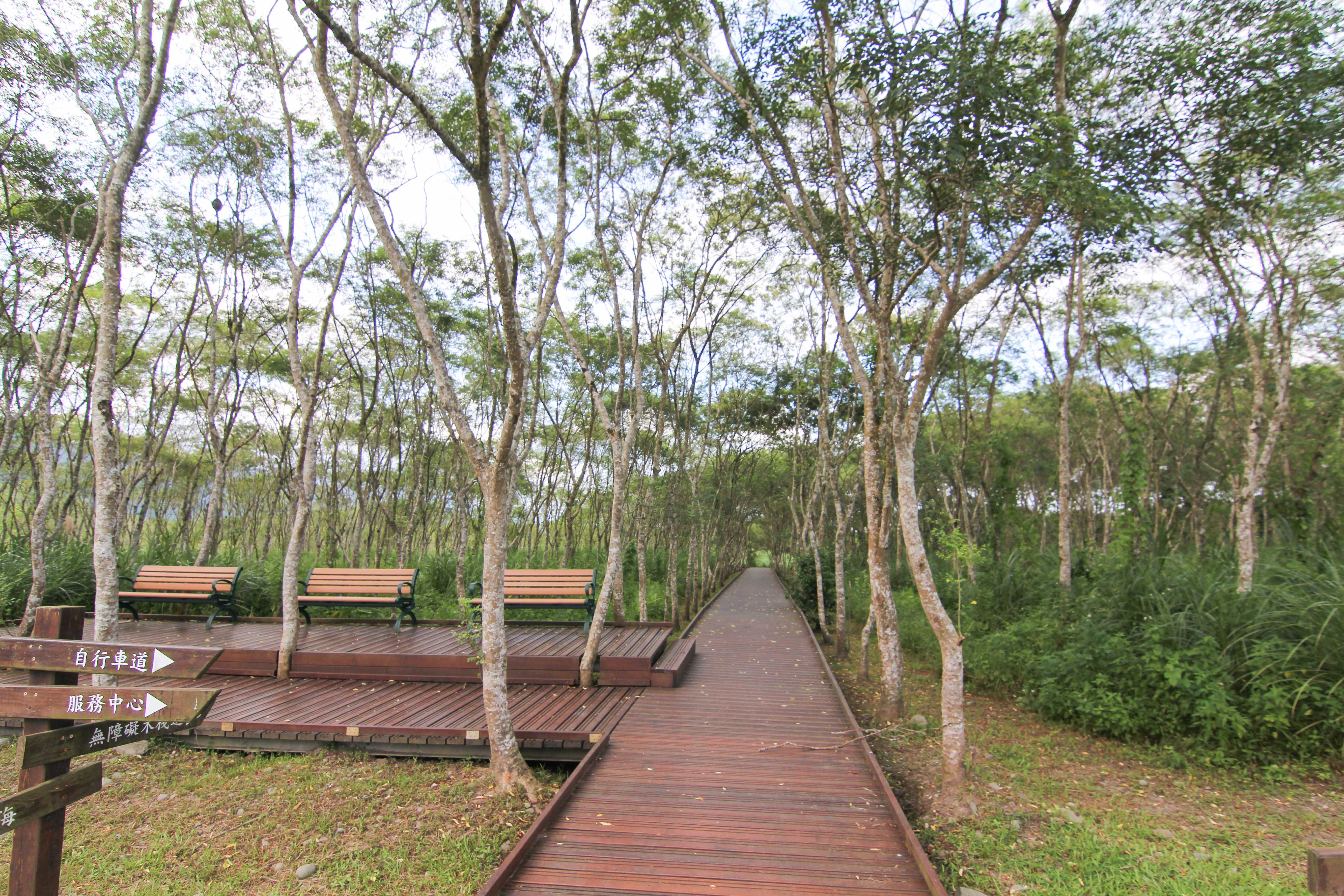 大农大富平地森林园区图示