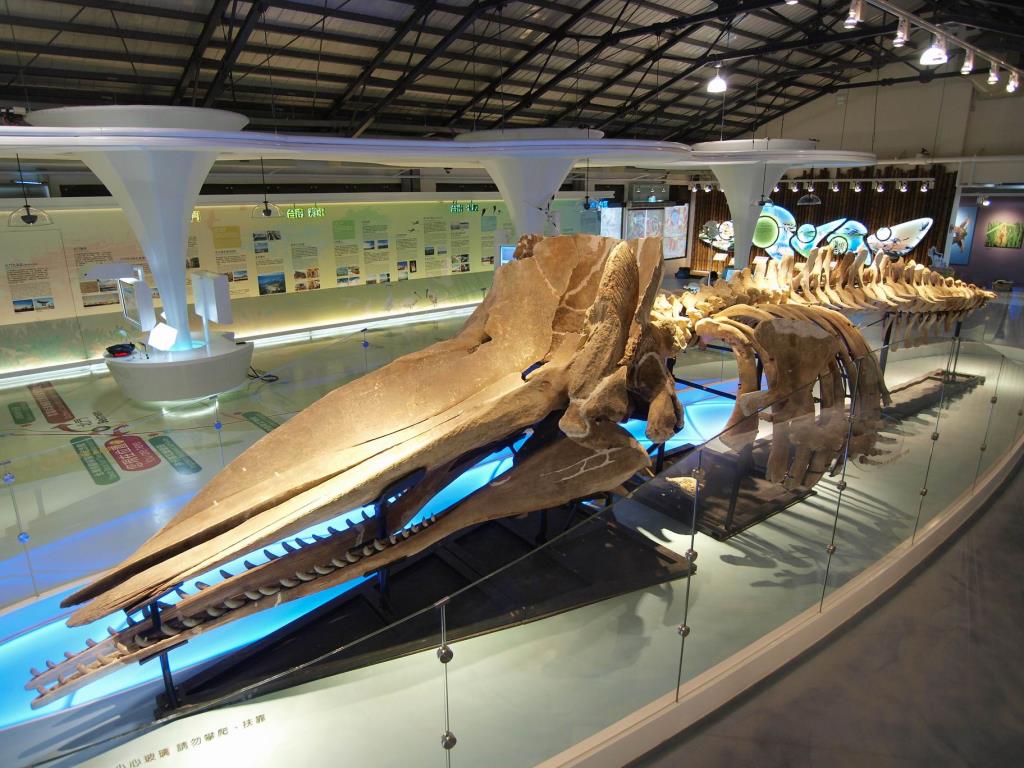 云嘉南滨海风景区-北门游客中心图示