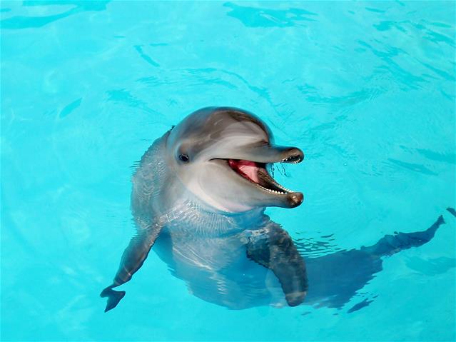 野柳海洋世界图示