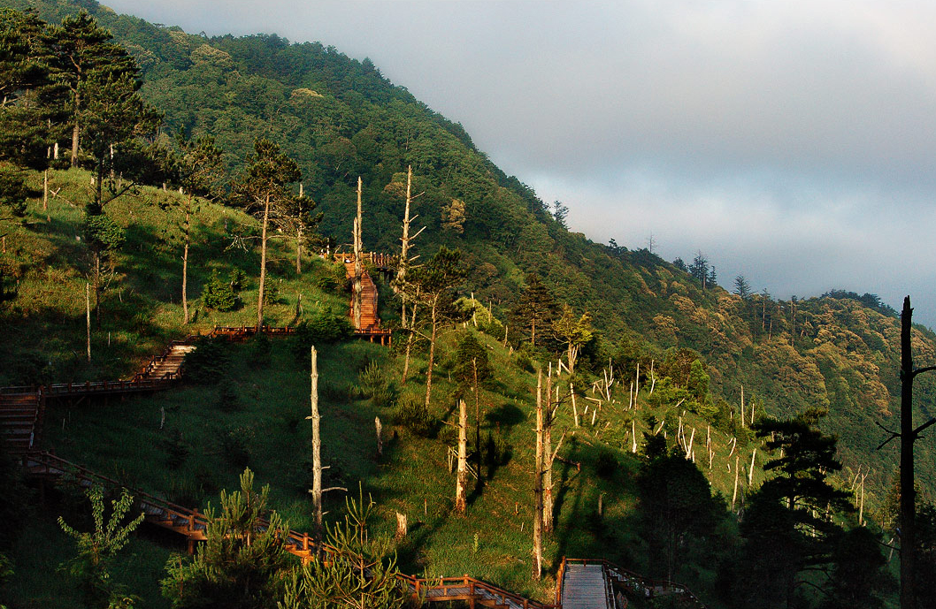 观雾森林游乐区图示