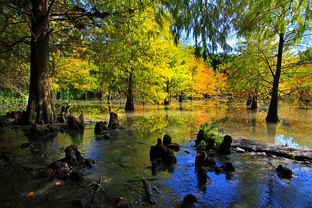 花东纵谷风景区-鹤冈游客中心图示