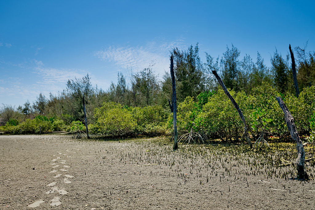 好美寮自然保护区图示