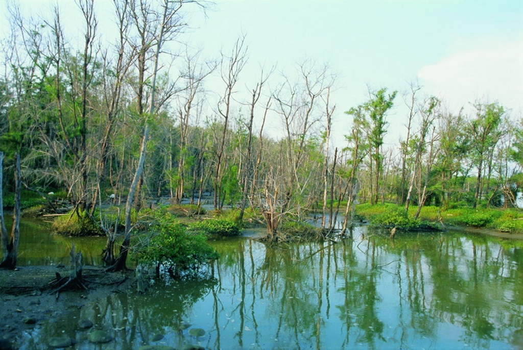 好美寮自然保护区图示