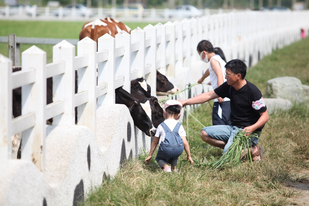 花莲瑞穗-养生温泉泛舟乐、茶香乳香咖啡香图示