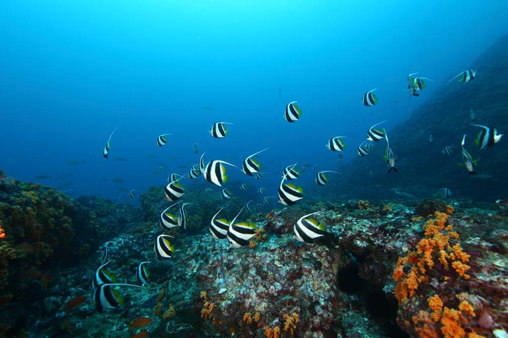 澎湖南方四岛公园图示