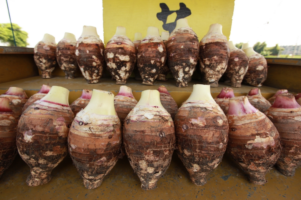 台中大甲-名列世界庆典的妈祖文化图示