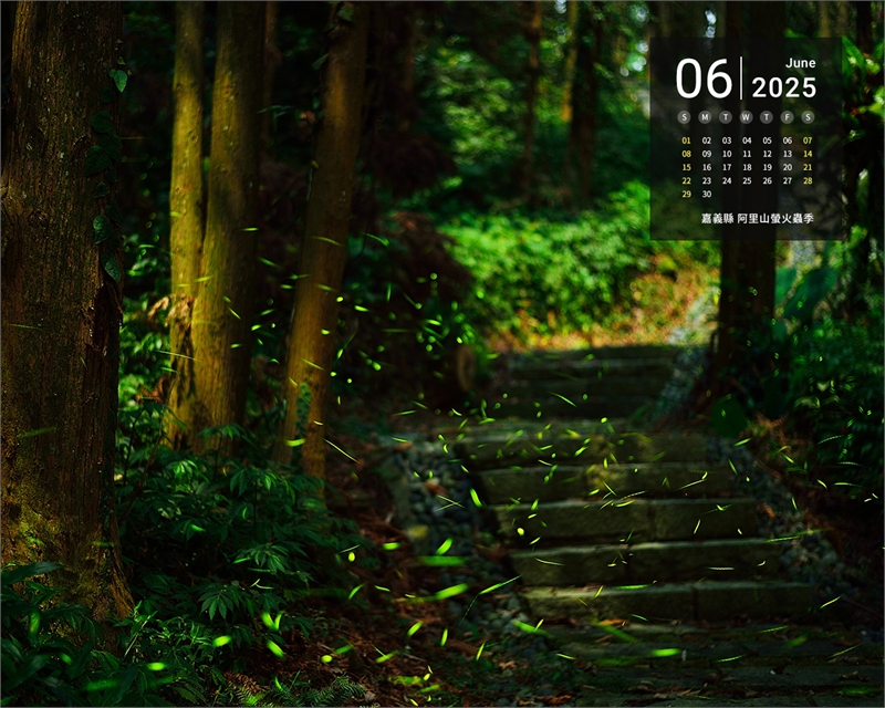 嘉义县 阿里山萤火虫季图示