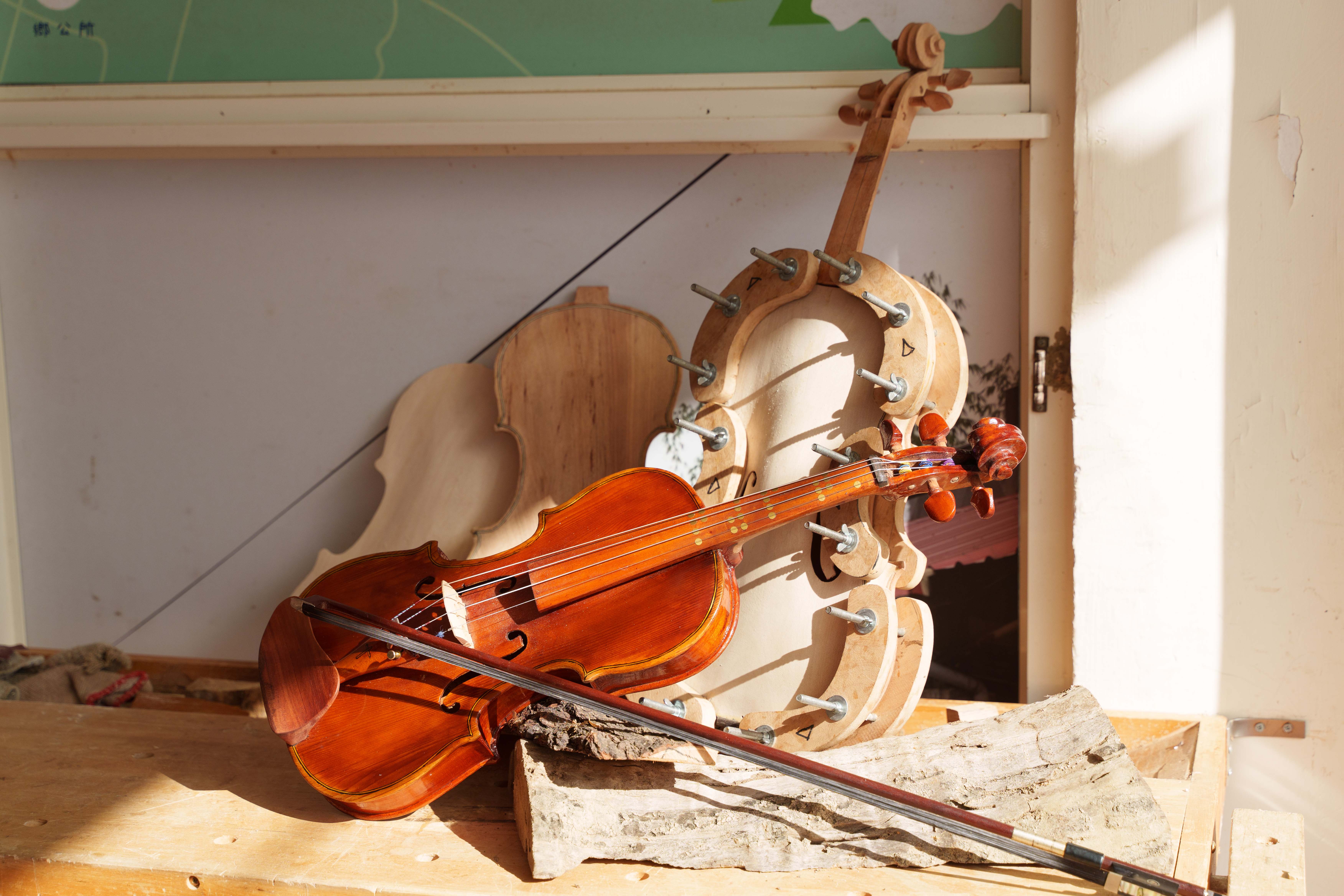 曾文水库漂流木提琴村图示