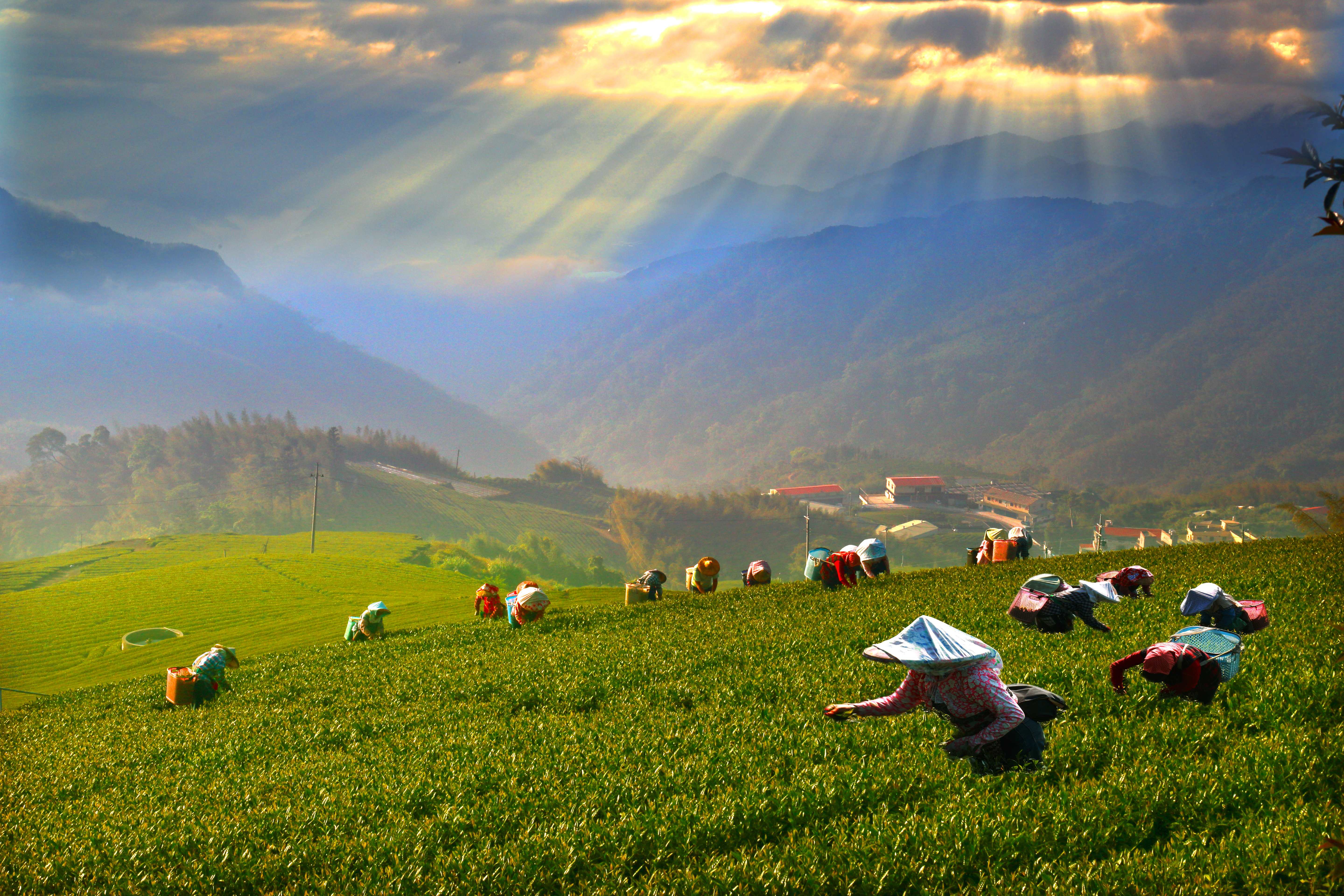 二延平步道图示