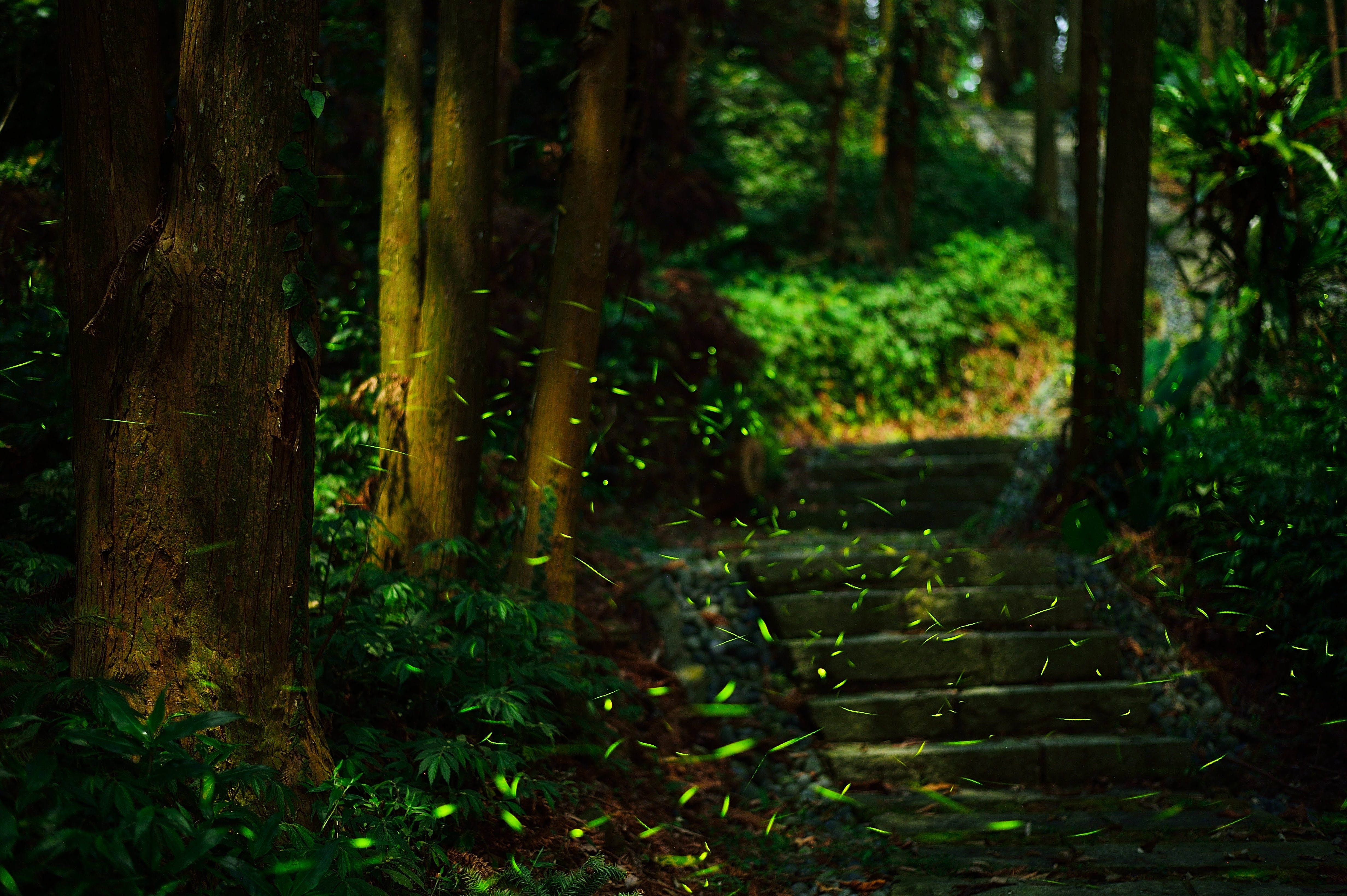 二延平步道图示
