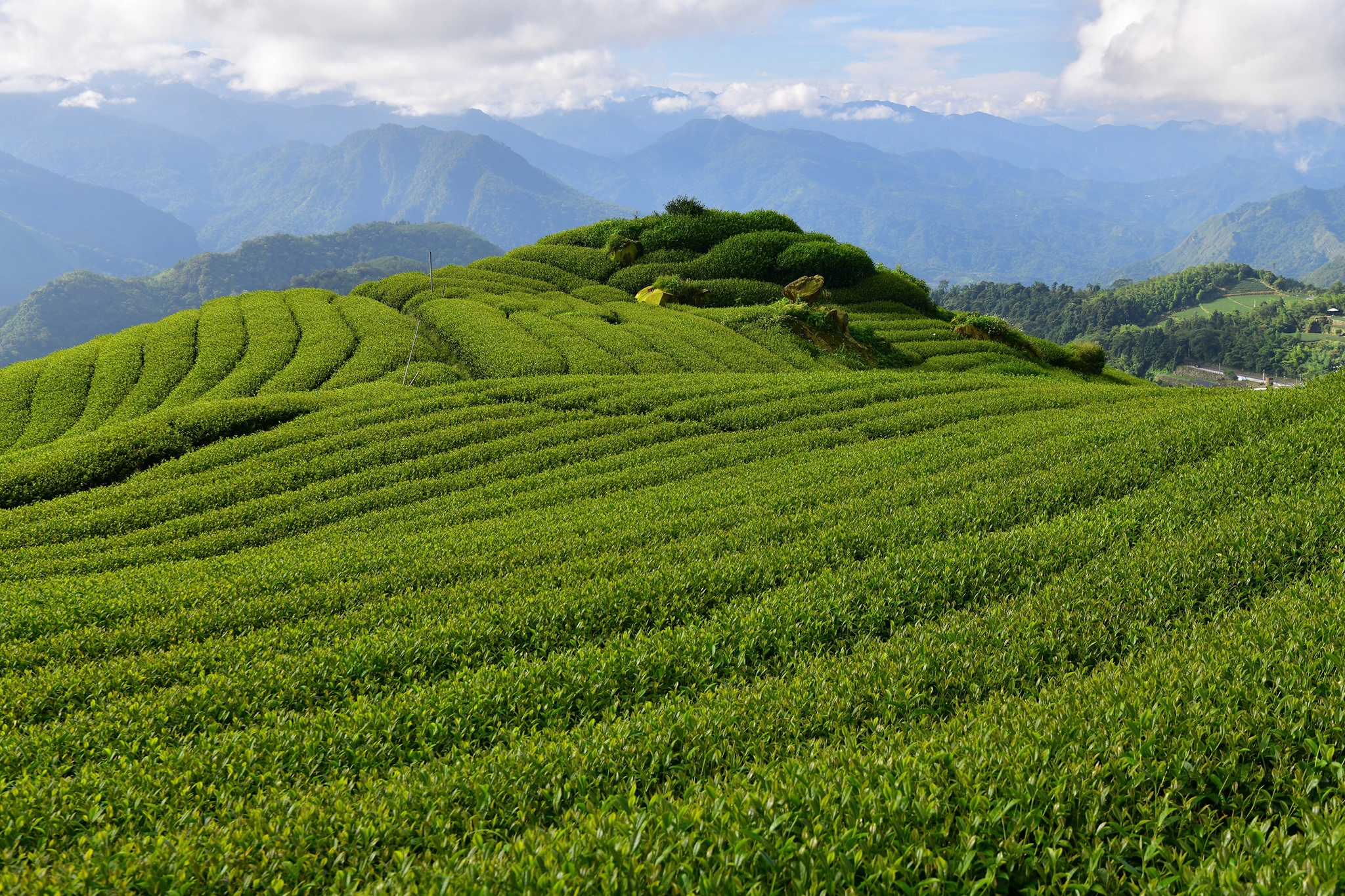 二延平步道图示
