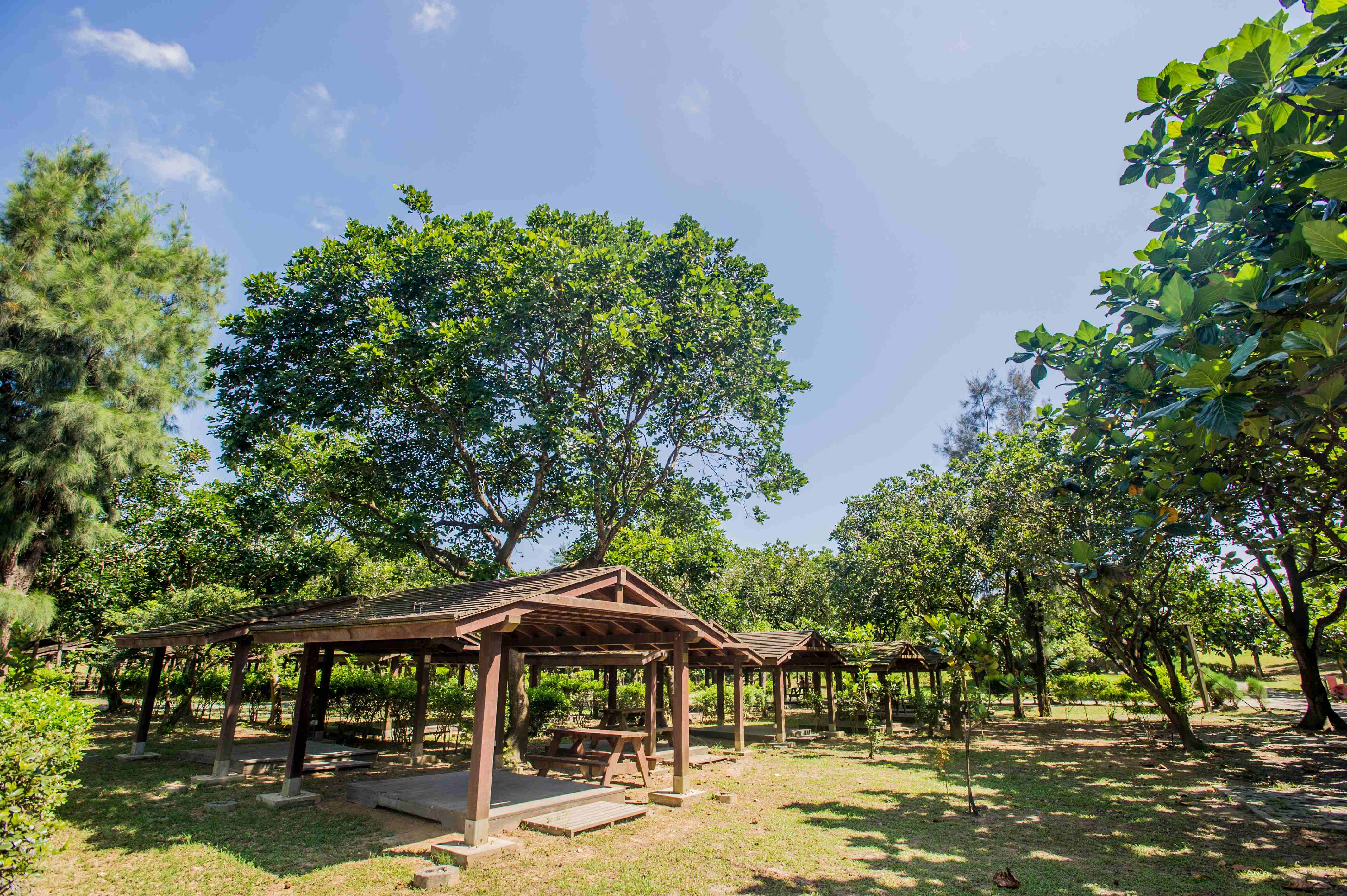 龙门露营区渡假基地