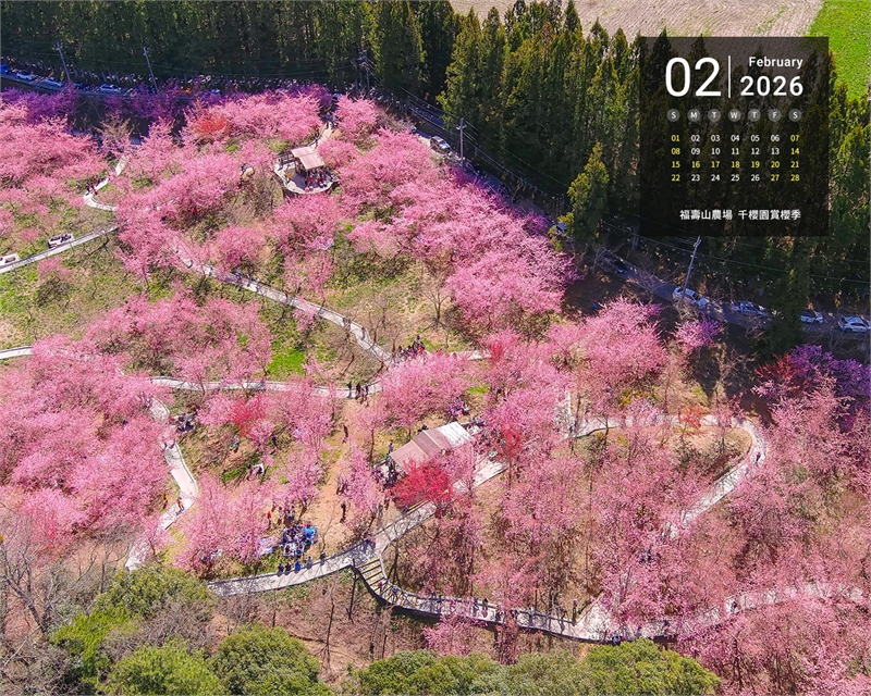 福寿山农场 千樱园赏樱季图示