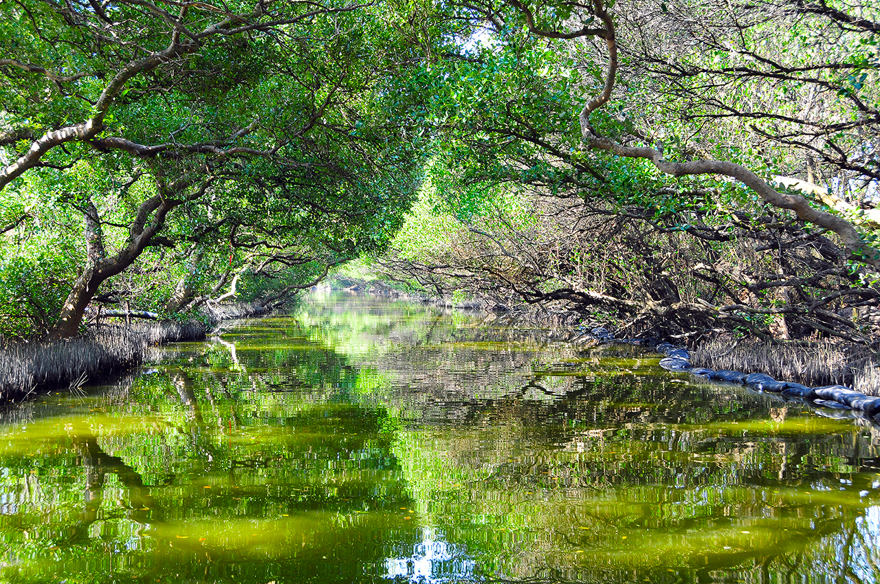 云嘉南滨海风景区图示