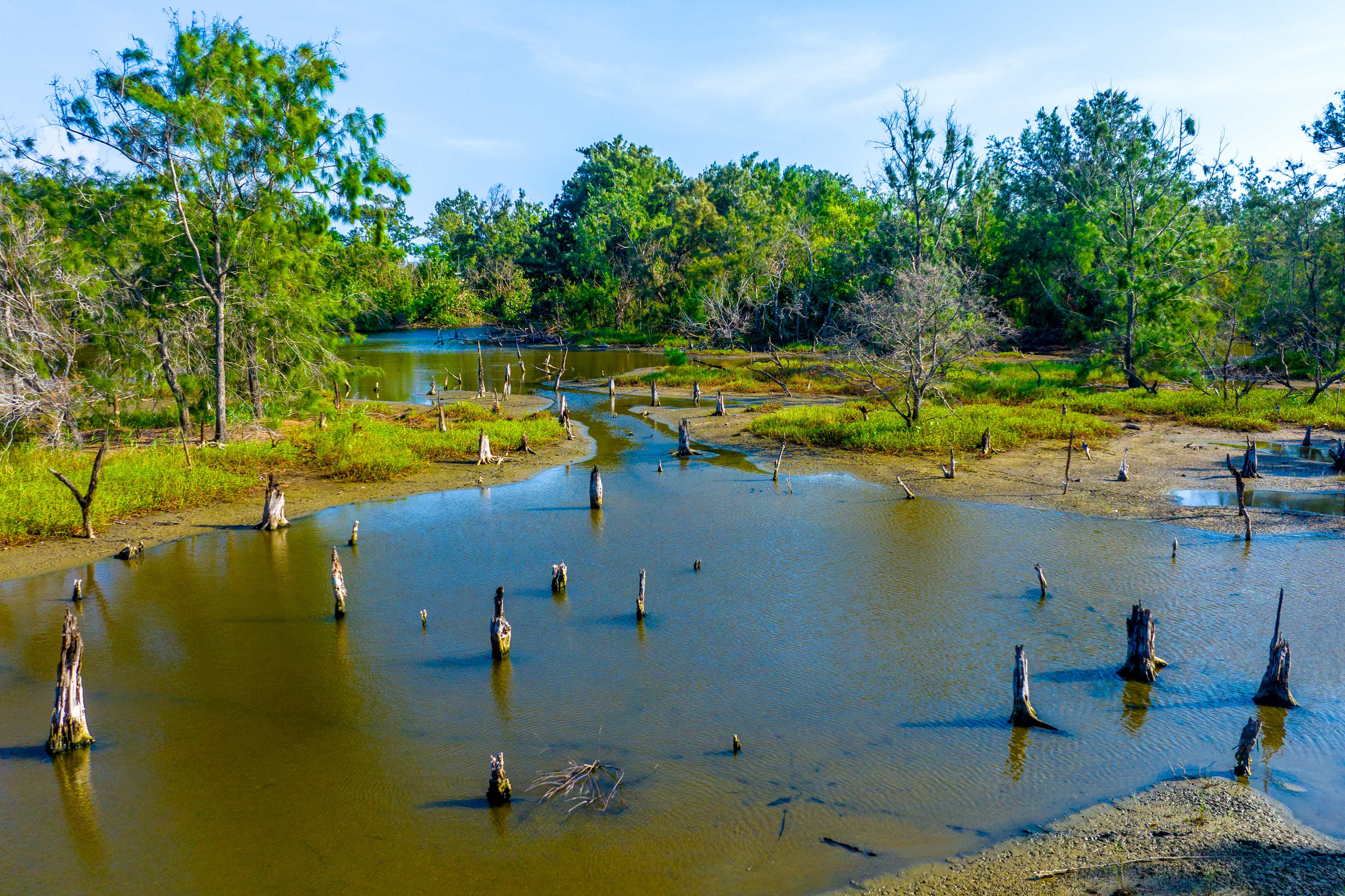 1920美漾森林图示
