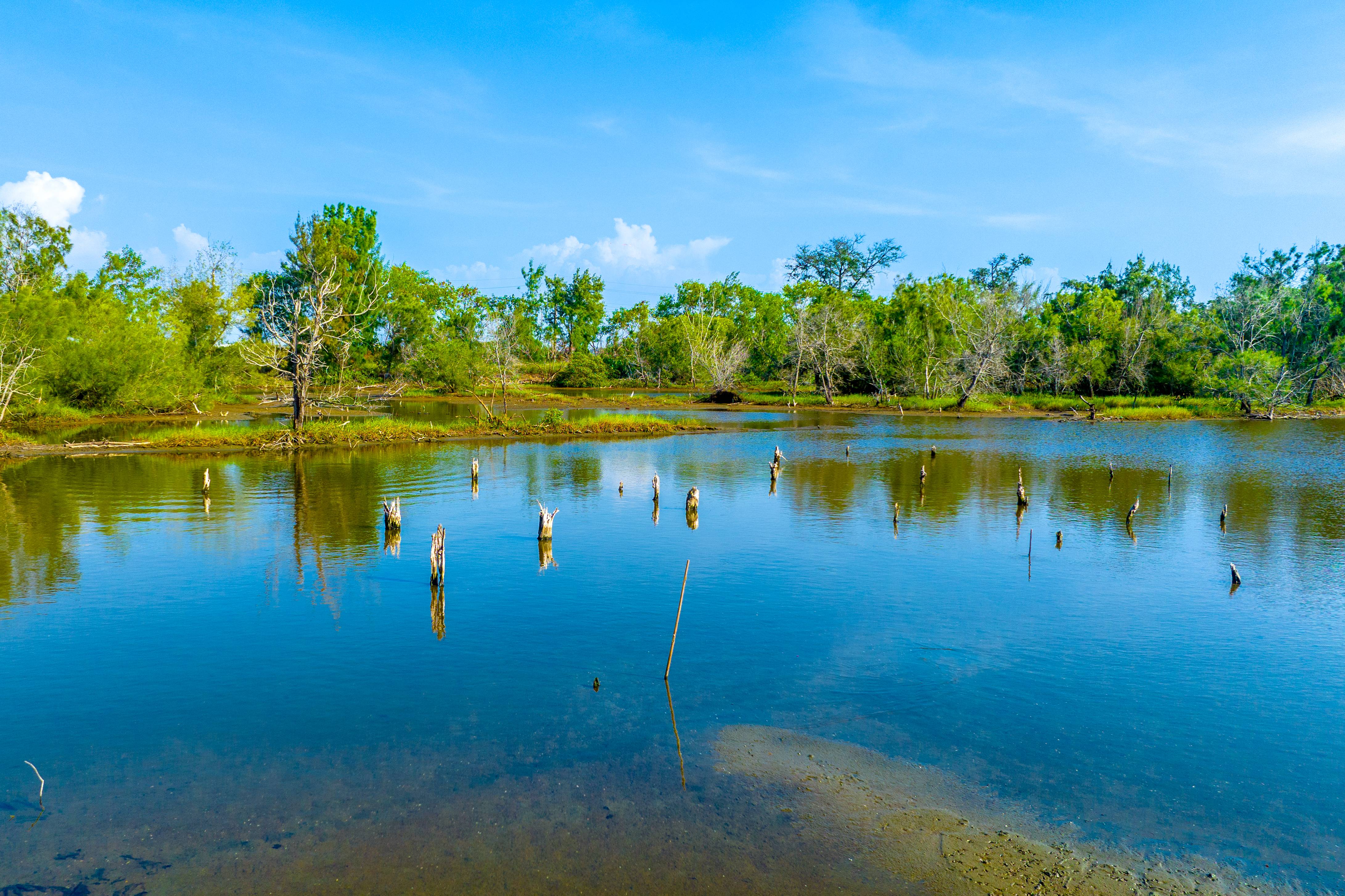1920美漾森林图示