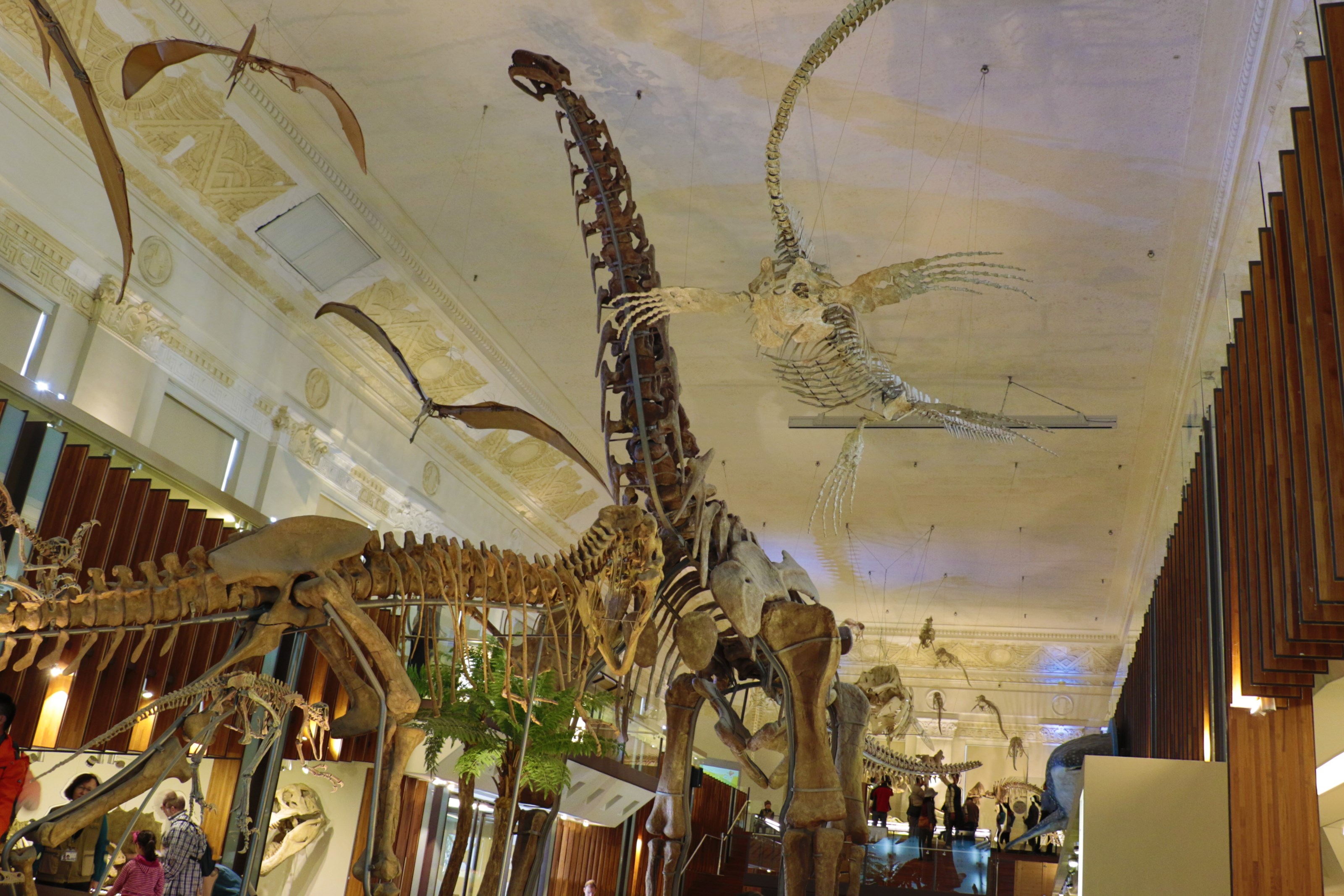 台湾博物馆图示