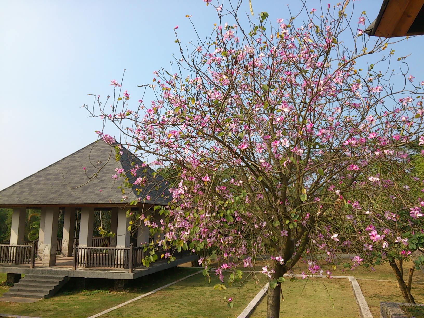 大路观温泉渡假村图示