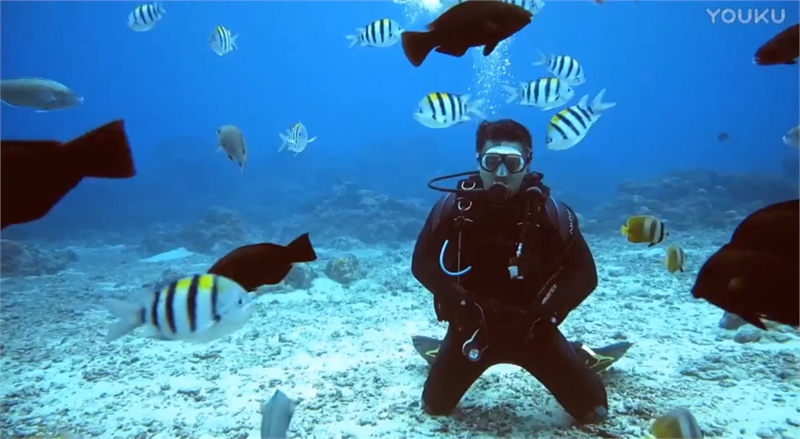 好山好水好台湾--亲水篇图示