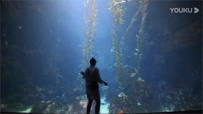 垦丁海生馆图示